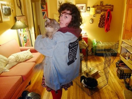CATS. DIG. SPR.